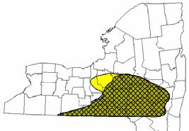 Marcellus Shale and Utica Shale Fairways